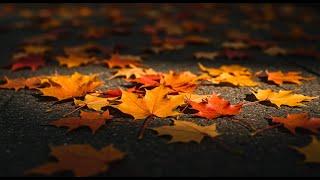 Chanson d’automne - Melancholic contemporary folk for a poem by Paul Verlaine
