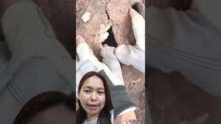 Ka gulat naman to #shorts #youtubeshorts #shortsviral #youtubeviral #mamey #funny