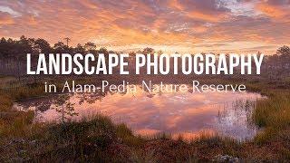 LANDSCAPE PHOTOGRAPHY in Alam-Pedja Nature Reserve | MAASTIKUFOTOGRAAFIA Alam-Pedja looduskaitsealal