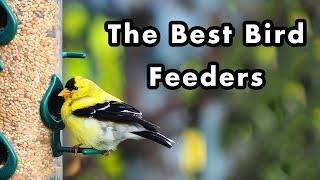 The Best Backyard Bird Feeders and Bird Food I Use To Attract Common Birds - Types Of Bird Feeders