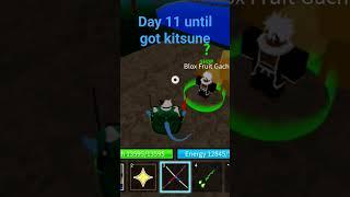 Day 12 day until got kitsune #roblox #bloxfruits #trisdxng