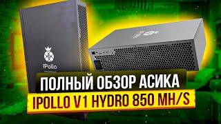 ПОЛНЫЙ ОБЗОР IPOLLO  V1H 850 MH/s | ДОСТУПНЫЙ АСИК ДЛЯ КВАРТИРНОГО МАЙНИНГА