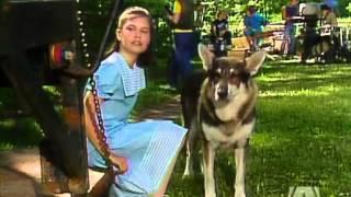 The Littlest Hobo Season 6 Episode 6 Lucky