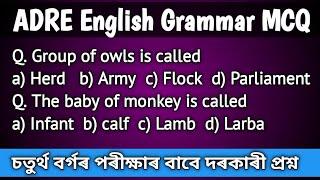 English Grammar Questions/ ADRE Exam Questions/ ADRE important MCQ on English/Grade iv/ Grade iii