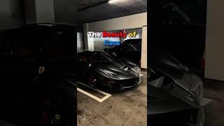The Beauty of Cars