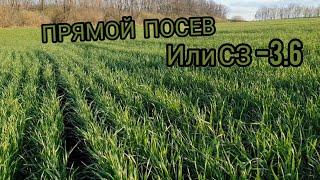 Прямой посев рулит