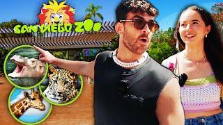 I TOOK MAYA HIGA TO THE SAN DIEGO ZOO