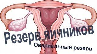 Овариальный резерв (резерв яичников) / Как оценить резерв яичников?