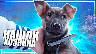 Спасение щенка. Собачка едет домой / SANI vlog