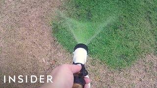 How To Make Your Lawn Green With Paint