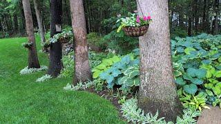 FULL June Home Garden Tour  Plant Names