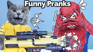 Oscar's FUNNIEST Prank Collection: Happy Weekend!| Oscar‘s Funny World | New Funny Cat Videos 2023