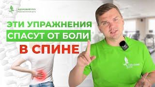 СПАСАЕМ СПИНУ ОТ БОЛИ! Что нужно знать о синдроме переднего наклона | Кинезитерапия