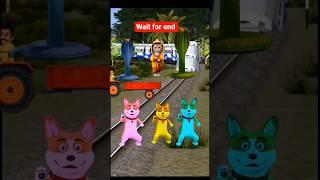 Cute dog beby stop train by dance #trending #cute #funny