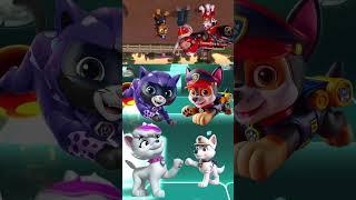 Scary Chase  Rocky  Zuma  Marshall DJ WildHop #pawpatrol #tileshop #coffindance