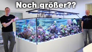 4,5 tons SALTWATER TANK -"What I like /What I don't like" after 2 years! *english subtitles*