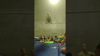 Level 1 gymnastics