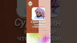 Сура Ясин Мухаммад ал курди yasin suresi #коран#сура#аят#quran#quranuz#sura#surah#shorts#alkurdi