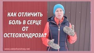 ►Как отличить боль в сердце от остеохондроза? [Боль в сердце и  остеохондроз]