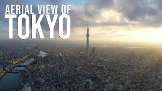 Aerial View of Tokyo | Tokyo | Japan | Tokyo From The Air |  Vega Entertainment