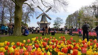 Keukenhof 2023