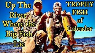 TROPHY BROOK TROUT FISHING IN LABRADOR:  Catching a couple; releasing the rest | Father n' Son time