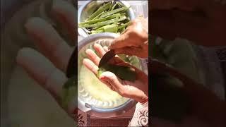 How to make  Aloe vera gel at home 100%pure and fresh. Plz subscribe my channel 