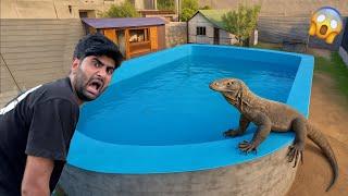 Mini Zoo Ke Swimming Pool Ke Pass Monster Lizard Aa Gaya Aaj To  || Shehr Main Dihat