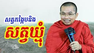 សត្វកង្កែបនិងសត្វឃ្មុំ l Dharma talk by Choun kakada CKD TV official ជួន កក្កដា