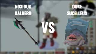 DUKE SUCELLUS VS NOXIOUS HALBERD | MAX HIT 61 !!!