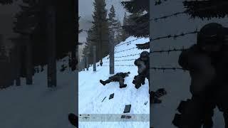 СОВЕТЫ ОТ МОНОЛИТА В STALKER RP ll СТАЛКЕР РП ДЕЙЗ #shorts #dayzstalkerrp