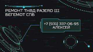 Визитка Бегемот СПб, ремонт ТНВД от Паджеро III 3.2 дизель VRZ Zexel