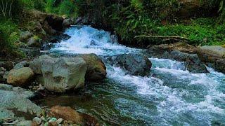 Relaxing River Sounds Mountain Stream Waterfall Gentle Stream for sleep, study, insomnia, meditation