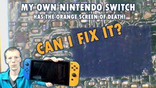 My Own RARE and VALUABLE Nintendo Switch Has An Orange Screen Of Death! Can I Fix It?