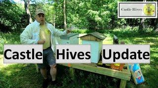 Castle Hives Update - June 6th