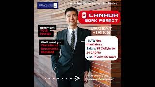 Canada Work Permit | Canada Work Visa 2024 | Canada in just 3-months #canadaworkpermit