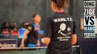 Ding Zige vs Wang Yixiao // Womens Open Singles Finals San Diego Paddle Palace Open 2024