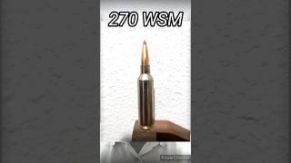 6.8 Western VS 270 WSM in 1 minute!