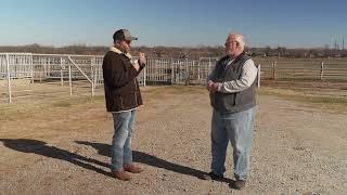 Livestock Marketing - Jan. 11, 2025