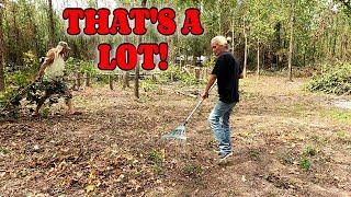 STARTING THE CLEAN UP farm, homesteading, RV life, RV living|