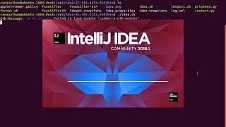 IntelliJ IDEA 2018 Community Edition installation in Ubuntu 18.04 LTS