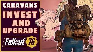 How to Start, Run and Earn from Caravans // And Latest Datamine // Fallout 76