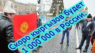 Кыргызская диаспора в России.