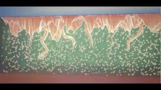 Inside Lithium Battery lecture -- dendrite formation  --  charge/discharge  & natural recovery