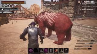 Conan Exiles / Топовые питомцы / Крупный Медведь