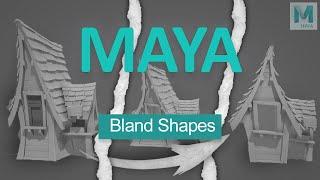 Maya. Bland Shapes