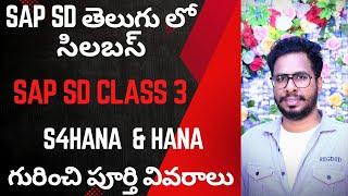 S4HANA SD Class 3 in telugu-SAP SD Course in telugu-SAP SD In Telugu-SAP SD Module in Telugu-Chanu