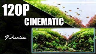 120P DIORAMA AQUASCAPE PREVIEW (CINEMATIC)