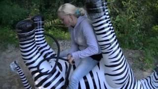 KT 048 Popping an inflatable zebra