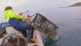 Calm Seas Fishing & Potting